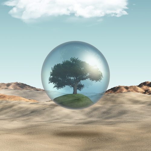 3D render of a tree in a globe under a cloud against a desert background
